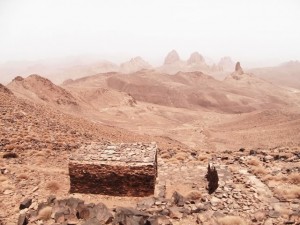 Dame noche no ya tu paz, dame milagro