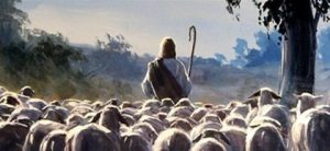 Domingo 7 de mayo. Domingo IV de pascua, del Buen Pastor