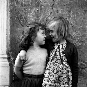 ¿A qué reino perteneces?