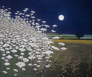 ¿Dónde está tu fe?