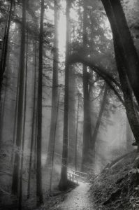 No somos material de reciclaje