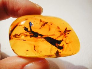 Gente atrapada en el ámbar