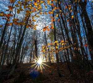 ¿Recuerdas el día y la hora de tu primer encuentro?
